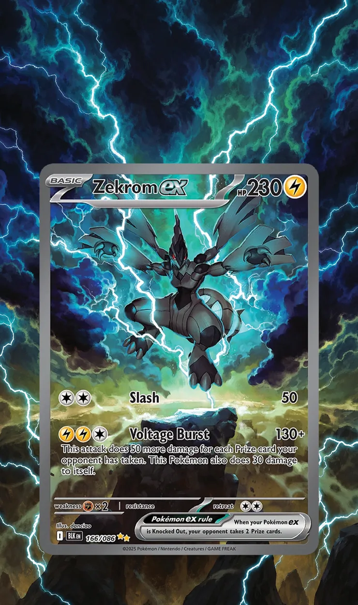 Zekrom ex extended art